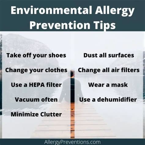 environmental-allergy-prevention-tips-infographic-2-28 - Allergy Preventions