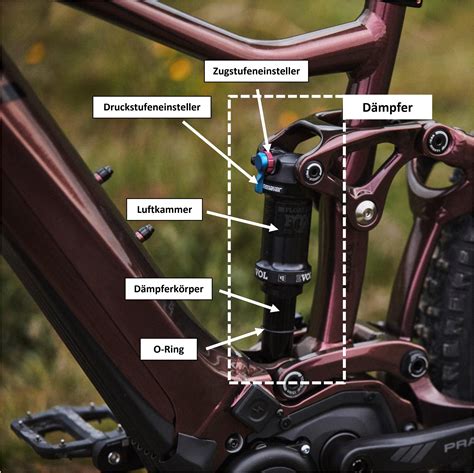 Mountainbike Fahrwerk Einstellen Liv Cycling De