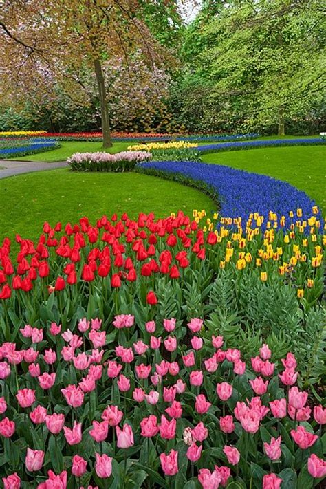 Keukenhof Gardens Amsterdam