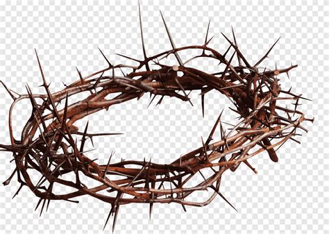 Thorned Crown Crown Of Thorns Christian Cross Gospel Thorns Spines