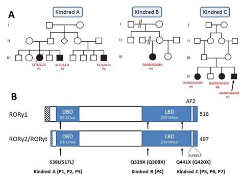 Diagram [image] Eurekalert Science News Releases