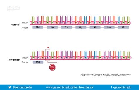 Truncating Variant Genomics Education Programme