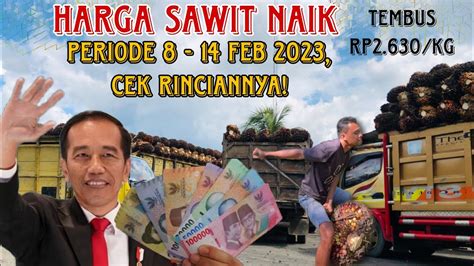 HARGA TBS SAWIT NAIK Rp82 13 Kg PERIODE 8 14 FEB CEK RINCIANNYA