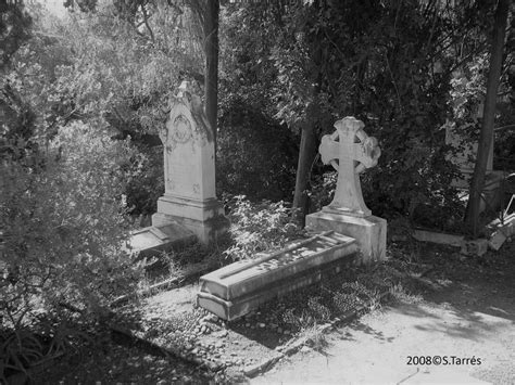 2: Interior of the English Cemetery in Malaga | Download Scientific Diagram