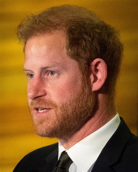 Photo Le Prince Harry parle lors du dîner organisé pile un an avant