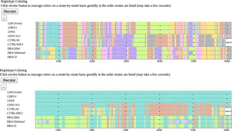 Haplotype coloring. The default haplotype block mosaic, which minimizes... | Download Scientific ...