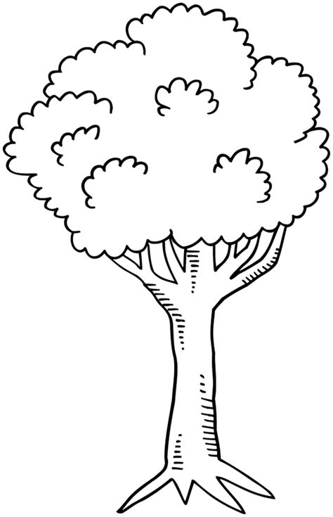 Dessins De Coloriage Arbre Imprimer Sur Laguerche Page