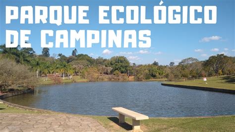 Conhe A O Parque Ecol Gico De Campinas Youtube