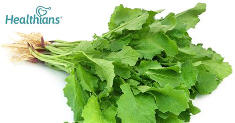 Season Of Mustard Greens 6 Benefits Of Mustard Greens