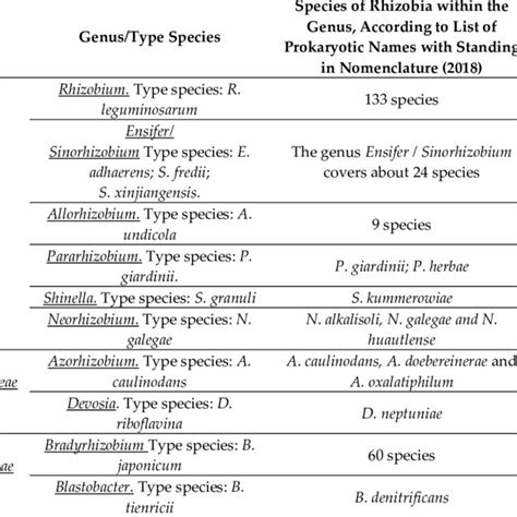 Classification and number of species of bacteria identified as rhizobia ...