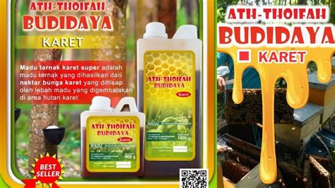 Madu Budidaya Ath Thoifah Madu Nektar Karet Madu Karet Natural