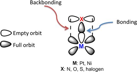 Bonding And Back Bonding Between Metal Ligand Download Scientific