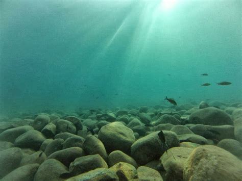 Fieldnotes: Underwater in Lake Tanganyika