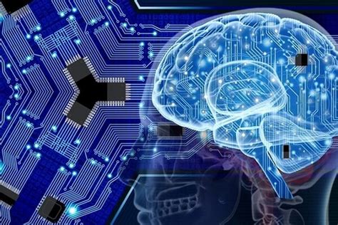Нейронные сети усваивают информацию лучше, когда чередуют обучение с ...