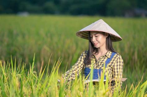 9 Arti Mimpi Seputar Sawah Jadi Pertanda Keberuntungan