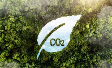 Como o biometano contribui para o meio ambiente Gás Verde