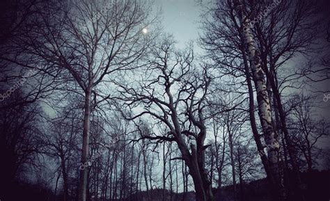 Spooky Trees Stock Photo By ©pinkbadger 12232063