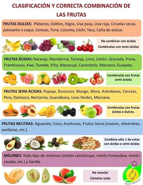 Segmento Inteligencia Para Justificar Clasificacion De Las Frutas Segun