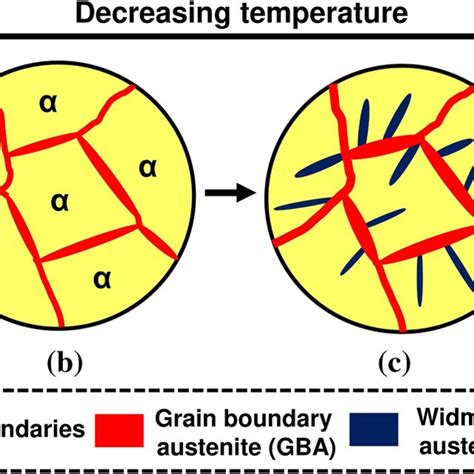 Schematic Illustration Of Microstructural Evolution During