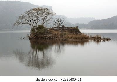 Padma Talao Images Stock Photos D Objects Vectors Shutterstock