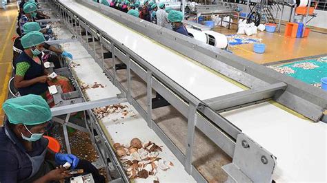 Apex Coco Unit Commences Production The Hindu