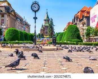 Timisoara Orthodox Images Stock Photos D Objects Vectors