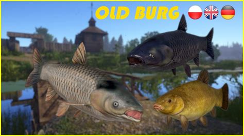 Old Burg Carp Karp No Pva Russian Fishing Rf Spot Mjplay Youtube