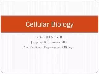 Ppt Altered Cellular And Tissue Biology Powerpoint Presentation Free