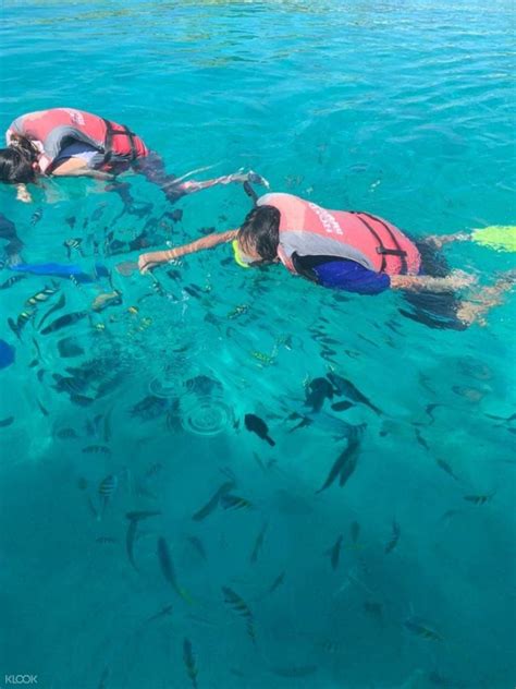 Mabul And Kapalai Island Snorkeling Tour Klook Malaysia