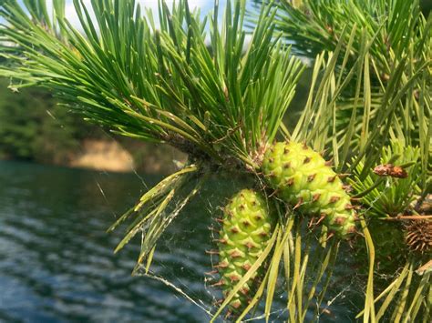 Visit Brazil: 2026 Travel Guide for Brazil, Indiana | Expedia