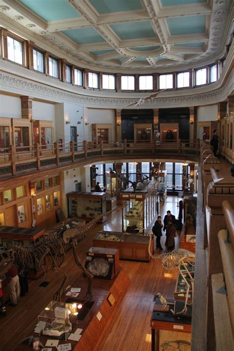 Redpath Museum - Canada - Atlas Obscura Community - Travel Forum