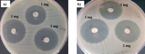 SciELO Brasil EFFECT OF REACTION CONDITIONS ON PARTICLE SIZE OF ZNO