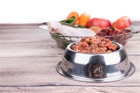 Comprar Comida Húmeda Para Perros Todo Lo Que Debes Saber