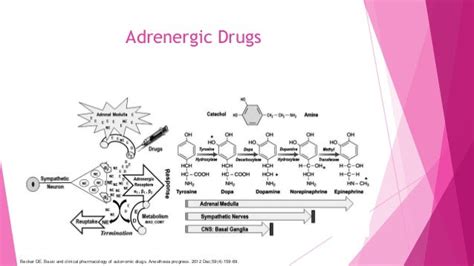 Basic and Clinical Pharmacology of Autonomic Drugs