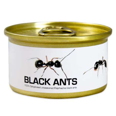 Order Edible Black Ants Online | Marx Foods