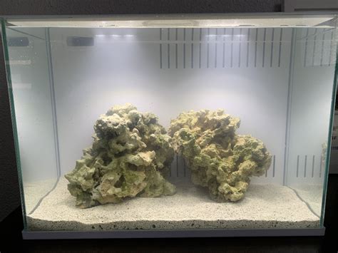 Pvn S Gallon Nano Pico Reef Engage Journal Nano Reef Journals