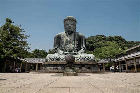 The great Buddha of Kamakura - Viki Pandit