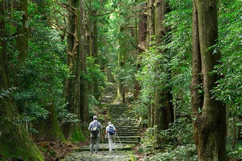 8 PLANES QUE HACEN DE JAPÓN EL DESTINO PERFECTO SI AMAS LA NATURALEZA