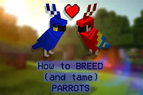 Minecraft How To Breed And Tame Parrots Gamers Decide