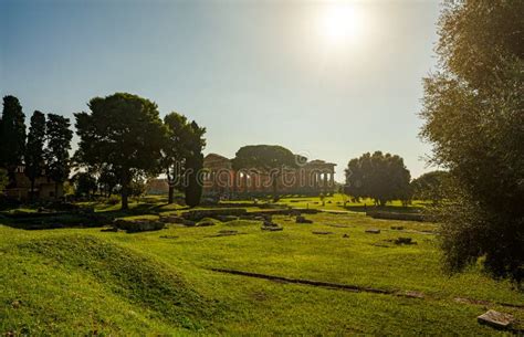 Temple of Hera in Paestum stock photo. Image of archaeology - 269451082