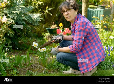 Cheerful Brunette Woman Planting Flowers In Garden Stock Photo Alamy