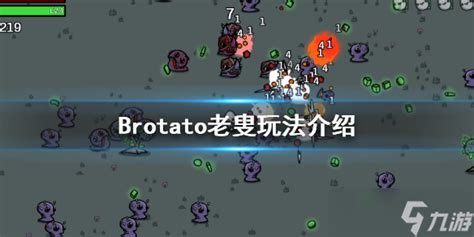 《brotato》老叟怎么玩 老叟玩法介绍brotato九游手机游戏