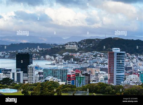 Bay oval new zealand hi-res stock photography and images - Alamy