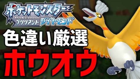 【24時間】色違いホウオウ厳選する！後編【ポケモンbdsp】 ポケモン関連情報のまとめ動画