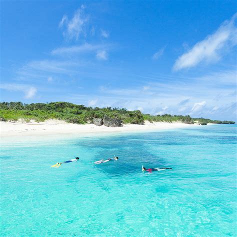 Coral Lagoon Snorkeling Panari Yaeyama Islands Japan Tumblr Pics