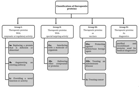 Classification of Therapeutic Proteins [1] | Download Scientific Diagram