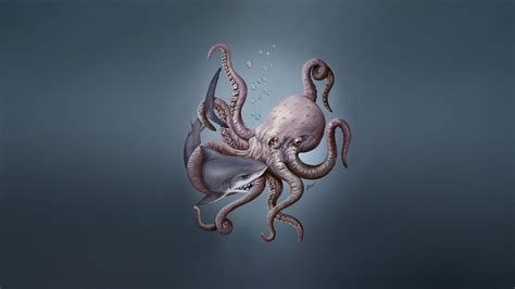 Octopus Art Wallpapers - Top Free Octopus Art Backgrounds - WallpaperAccess