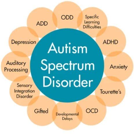 Autism Spectrum Disorder: What Does ASD Mean in Child Development? — BIOVITALITY SHOP