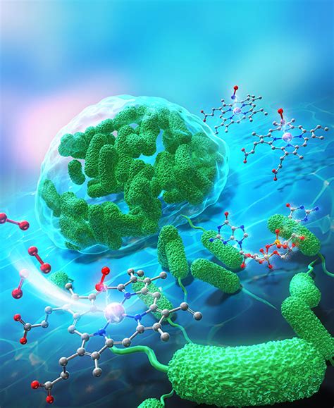 Biochemistry Current 20 February 2024 Volume 63 Issue 4 カバーピクチャー作成サービス