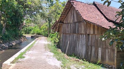 Tentramnya Tinggal Di Kampung Pinggiran Sungai Ini Suara Air Menambah